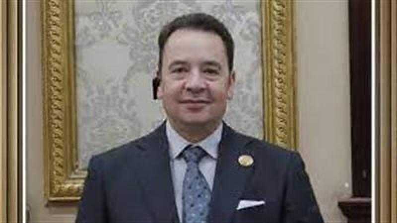 نائب بالشيوخ: مصر تعيش أزهى عصور الديمقراطية.. والسيسي حقق نهضة شاملة