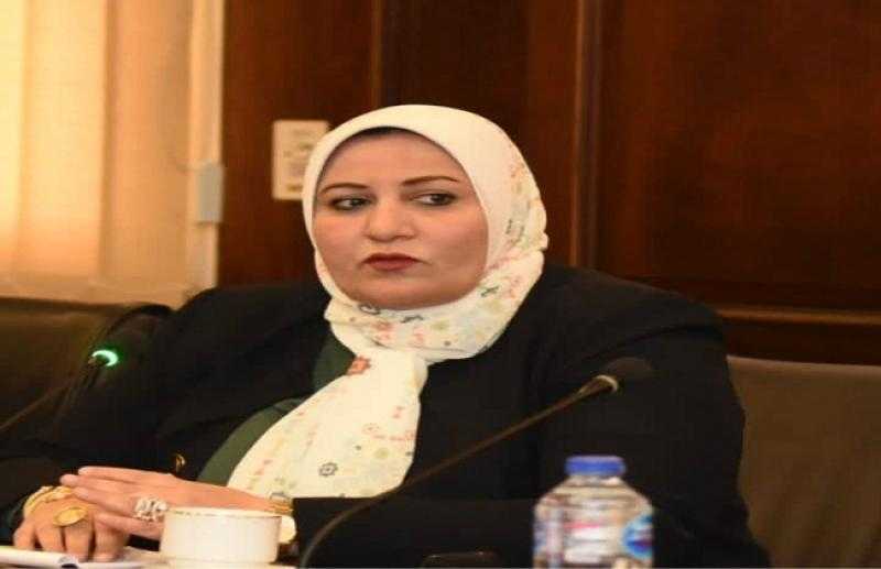 غادة الضبع تستنكر بيان البرلمان الأوروبي: استمرار لحالة الترصد للدولة المصرية