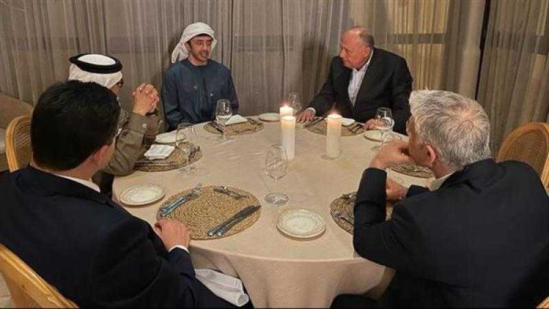 وزيرا خارجية مصر والإمارات يتفقان على خطورة الموقف الحالي بين الإسرائيليين والفلسطينيين