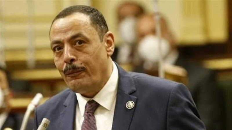 عضو بـ”النواب” يطالب المجتمع الدولي بدعم جهود مصر لتهدئة الأوضاع في فلسطين