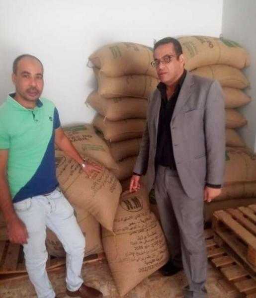ضبط 1920 كيلو بن مجهول المصدر في حملات بالإسكندرية
