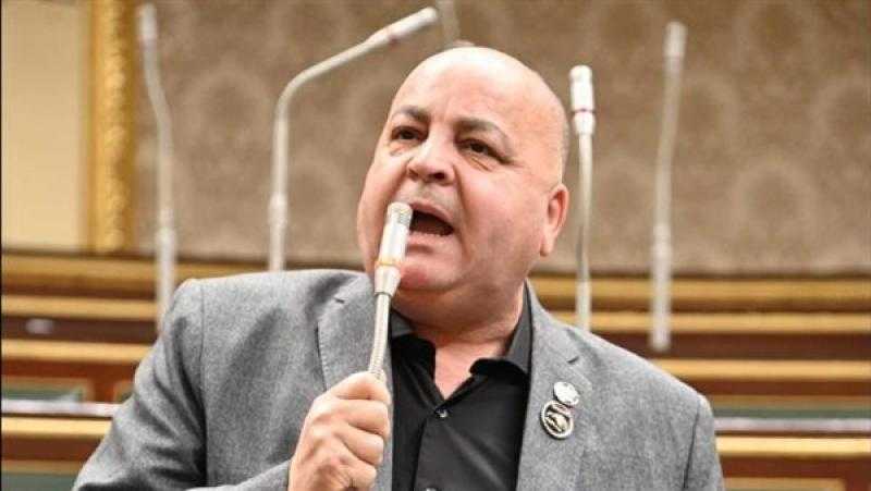 برلماني يطالب المجتمع الدولي بالتدخل لوقف العدوان الإسرائيلي على فلسطين
