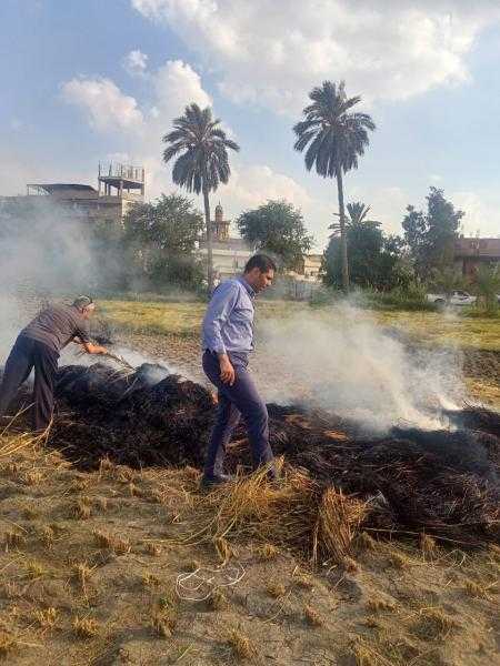 البيئة: استجابة المزارعين وتجميع القش ودرسه للاستفادة منه بالمحافظات