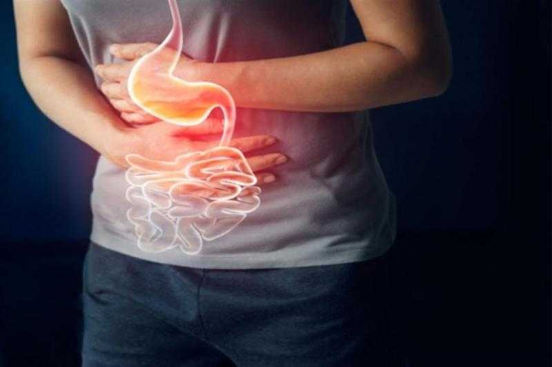 أستاذ كبد: مصر الأولى عالميًا في الحصول على شهادة المستوى الذهبية لهذا السبب