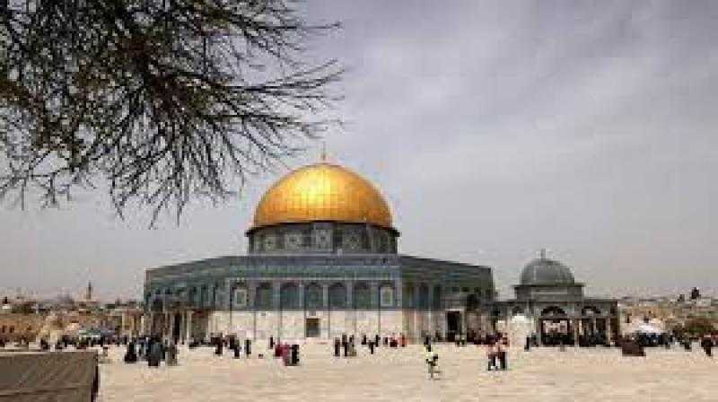 باحث: مصر تتحرك في القضية الفلسطينية بمجموعة آليات للتنديد بالجرائم الإسرائيلية