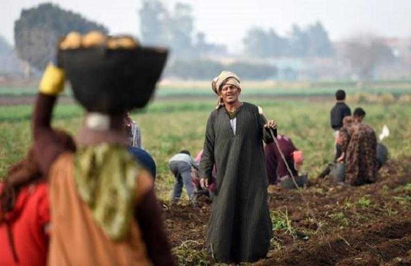 نقيب الفلاحين: 50 مليون فلاح رهن إشارة الرئيس السيسي بعد فضحه مخطط إسرائيل