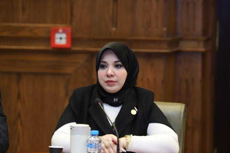 دينا هلالي: قمة القاهرة للسلام أكدت مركزية القضية الفلسطينية لمصر