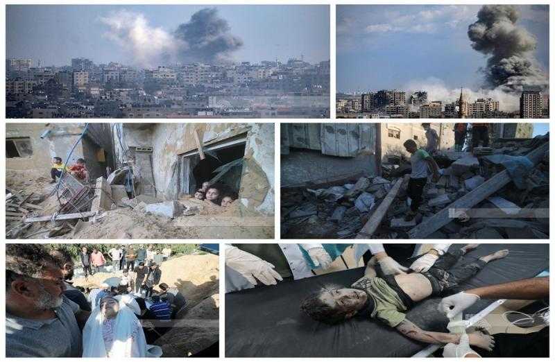 خارجية الشيوخ تناقش تداعيات الأوضاع في الأراضي الفلسطينية