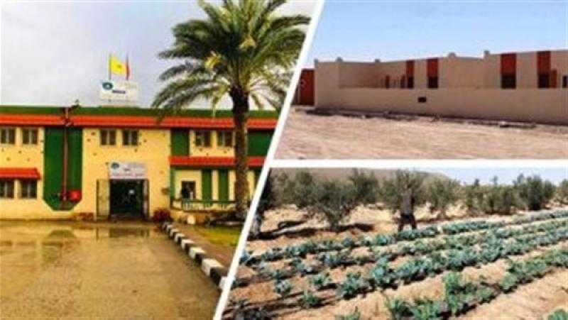 رئيس ”مجاهدي سيناء”: التنمية بدأت في أرض الفيروز بعد تولي الرئيس السيسي