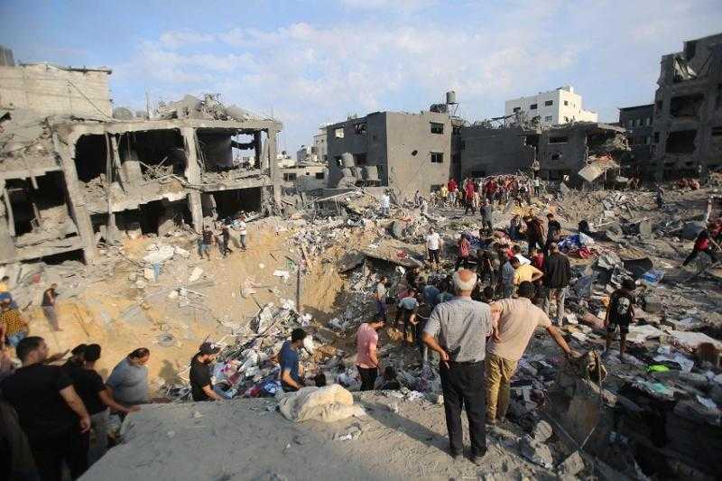 مصطفى النقيب: دور مصر محوري في القضية الفلسطينية