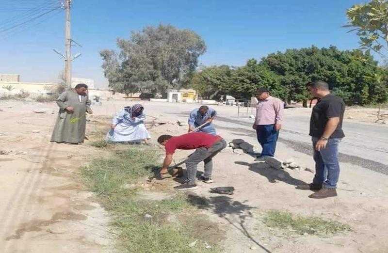 زراعة 188 شجرة مثمرة في زفتى بالغربية