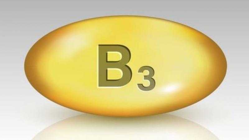 دراسة أمريكية: فيتامين ”ب -3” يُعزز الخلايا القاتلة الطبيعية لمحاربة سرطان الدم