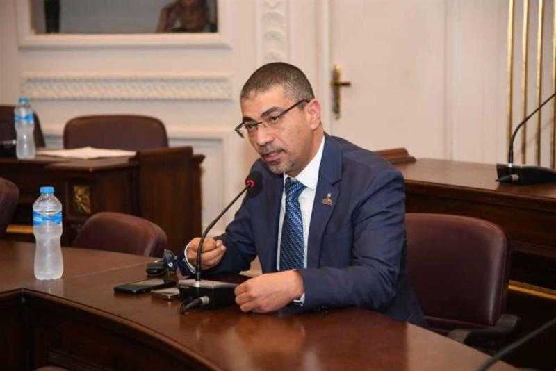 نائب بـ«الشيوخ»: كلمة «السيسي» بقمة الرياض وضعت المجتمع الدولي أمام مسئولياته