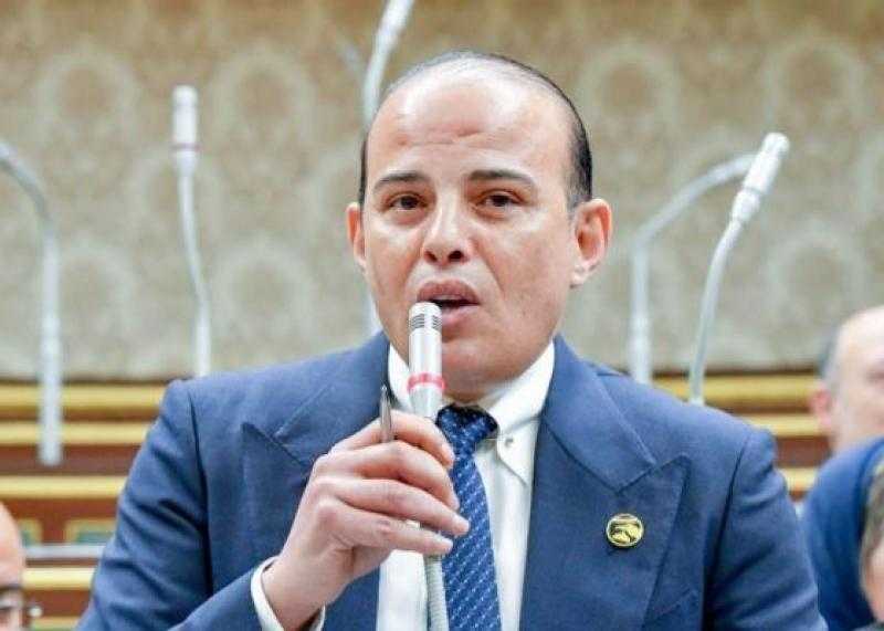 عمرو القطامي: كلمة الرئيس بالقمة العربية الطارئة عبرت عن الرؤية المصرية الثابتة تجاه دعم سبل وقف الحرب بغزة