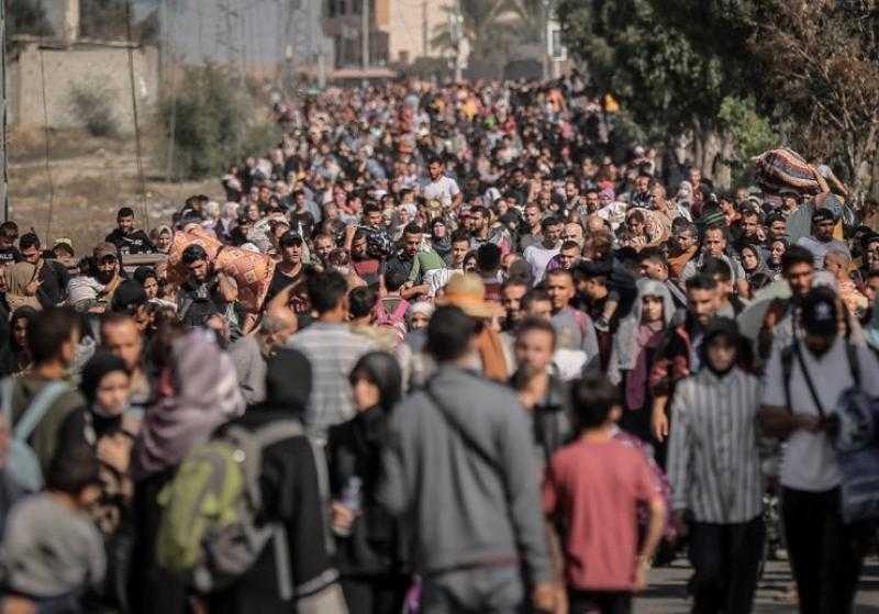 كندة علوش: مشاهد نزوح الفلسطينيين مؤلمة كمشاهد الموت