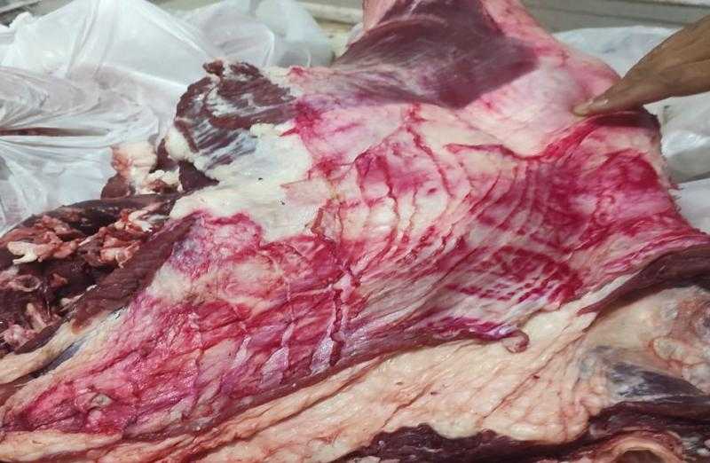 الطب البيطري بالشرقية: ضبط 2 طن لحوم ودواجن مذبوحة خارج المجازر ومجهولة المصدر