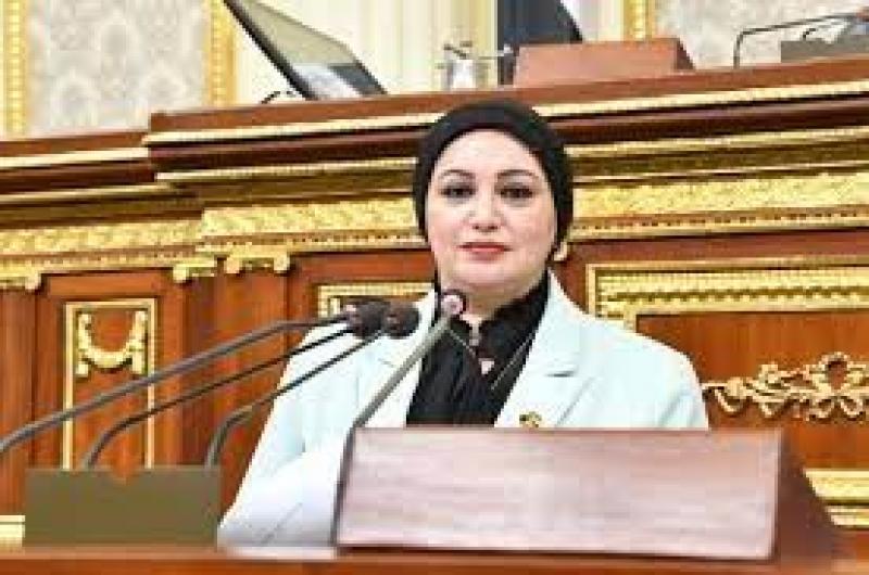 النائبة سولاف درويش: العمال يدعمون الرئيس السيسي فى الانتخابات الرئاسية المقبلة بقلوبهم وعقولهم