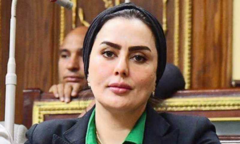 برلمانية: التحالف الوطني يقوم بدور إنساني في تقديم المساعدات لأهالي غزة