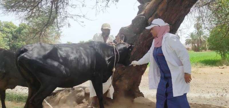 خط أحمر
