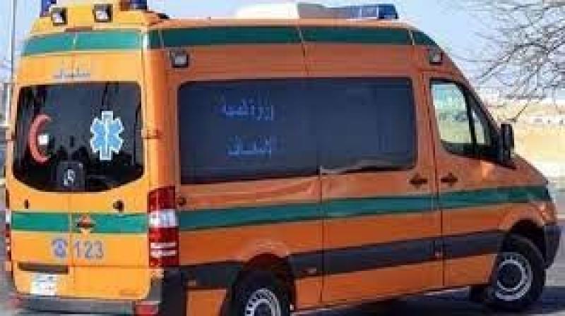 إصابة 7 أشخاص في انقلاب سيارة ربع نقل على طريق أسيوط الغربي