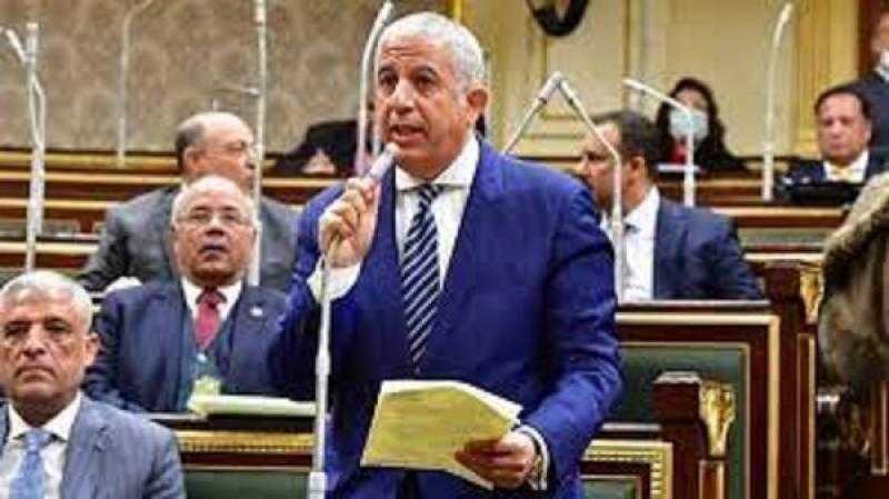 النائب كريم درويش: مشاركة المصريين بالخارج تدعو للفخر والاعتزاز بالوطن
