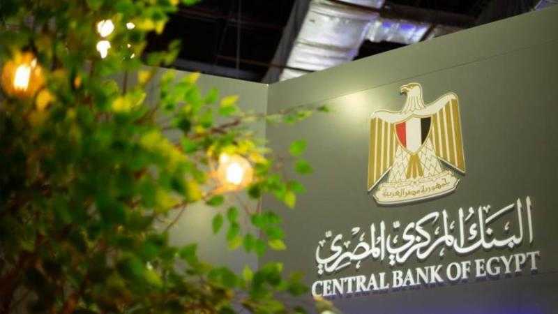 المركزي: قروض قطاع العالم الخارجي ترتفع لـ 5.325 مليار جنيه بنهاية أغسطس 2023