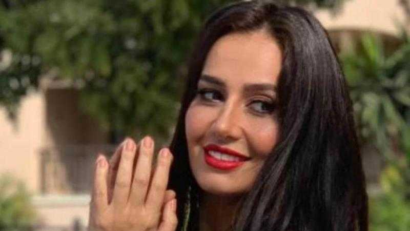 حلا شيحة تلتقي أشرف زكي وتعتذر لجميع فناني مصر