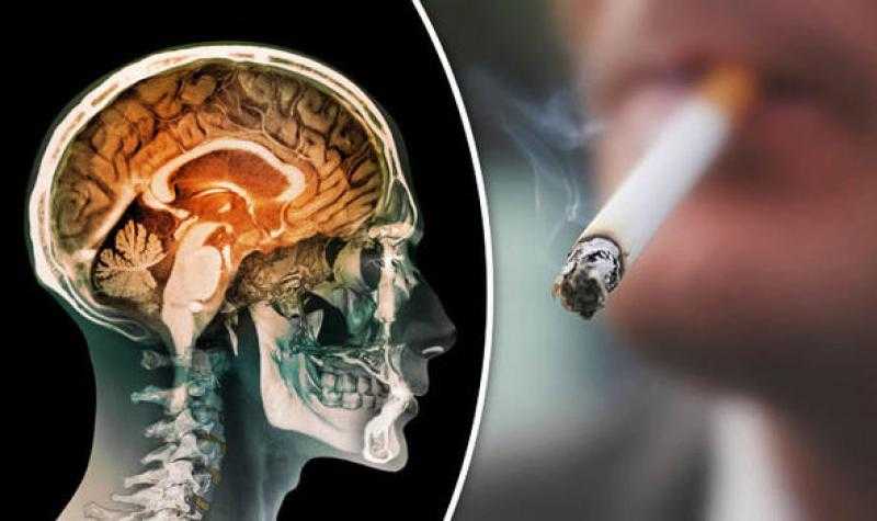 دراسة صادمة.. التدخين من المحتمل أن يؤدي إلى انكماش حجم الدماغ