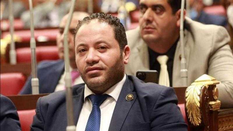 عضو بـ”الشيوخ”: استمرار انتهاكات الاحتلال الإسرائيلي تستوجب تحرك دولي قوي
