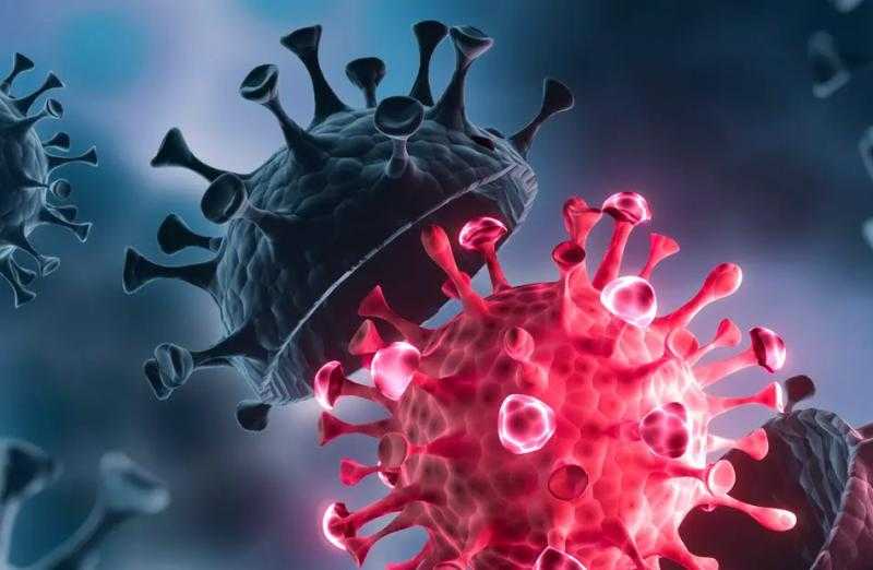 لم يتم اكتشاف إصابات بمصر.. «الصحة» تكشف عن متحور جديد لأوميكرون