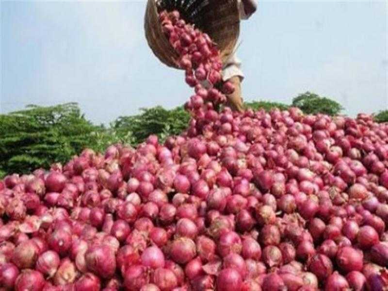 ضبط 250 طن بصل في مخزن بغرض الاحتكار والمضاربة بالأسعار بدمياط