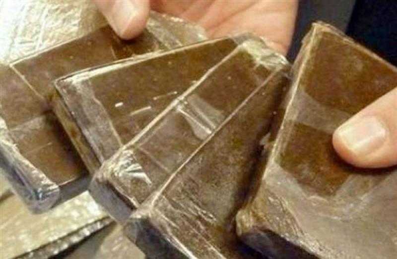 حبس عاطلين وراء ترويج المخدرات في البحيرة