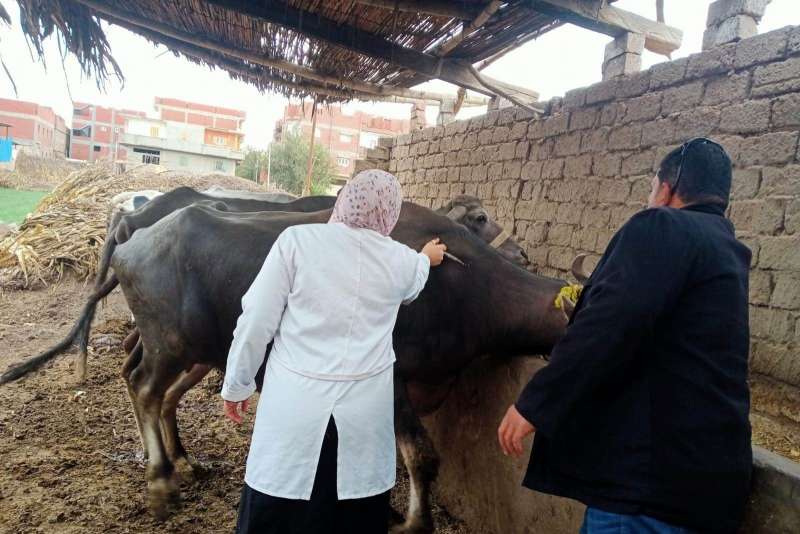 خط أحمر