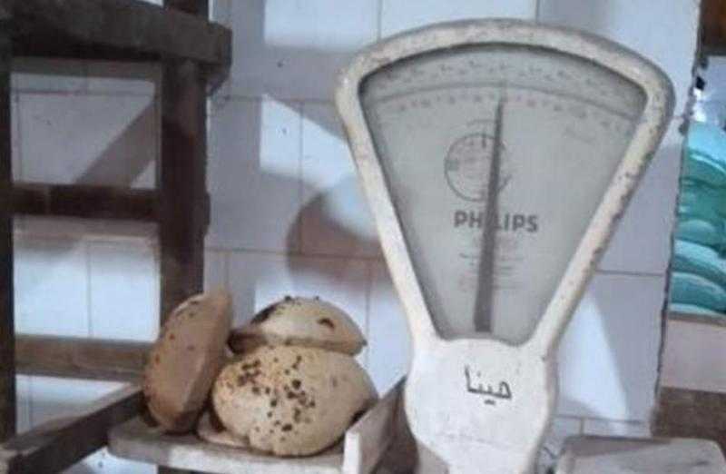 ”تموين كفرالزيات” يرصد تلاعبًا في مواصفات وأوزان الخبز داخل 11 مخبزًا