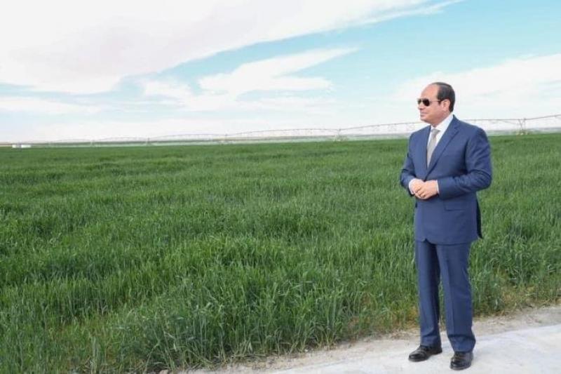 الزراعة خلال 10 سنوات.. نهضة غير مسبوقة في عهد الرئيس السيسي لتحقيق الأمن الغذائي للمواطنين| صور
