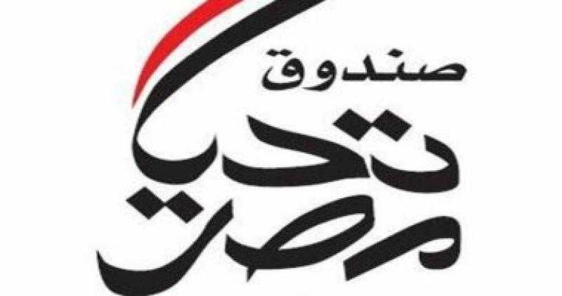 صندوق تحيا مصر يكرم 45 أما مثالية خلال 2023
