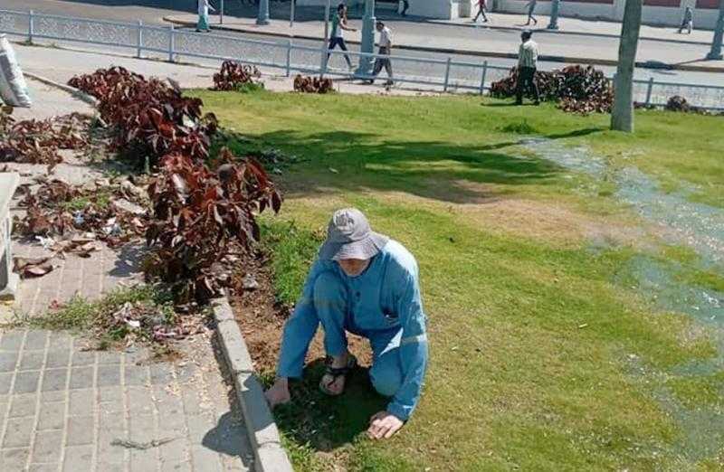 حملة للتجميل والتشجير في «كوم غراب» بمصر القديمة