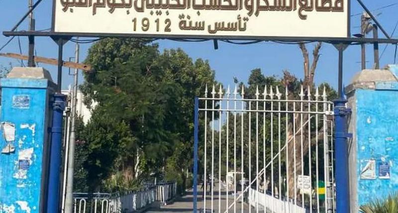 رئيس قطاعات المصانع بكوم أمبو: نستهدف إنتاج 160 ألف طن سكر خلال 2024.. فيديو