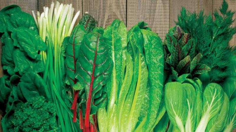 4 طرق لحفظ الخضروات الورقية