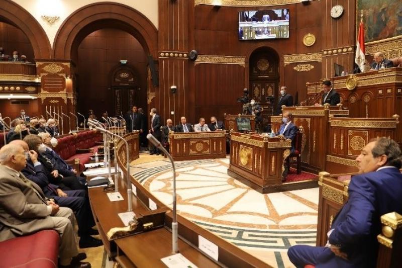 زراعة الشيوخ تُوصي بإعادة دراسة مخطط تطوير حديقة الحيوان بالمنصورة