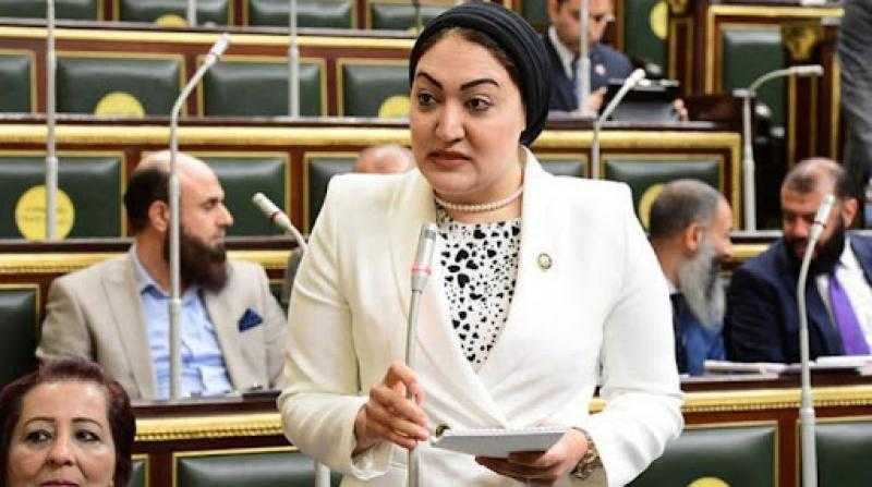 أسماء الجمال: إقحام إسرائيل اسم مصر أمام العدل الدولية جريمة جديدة للكيان الصهيونى