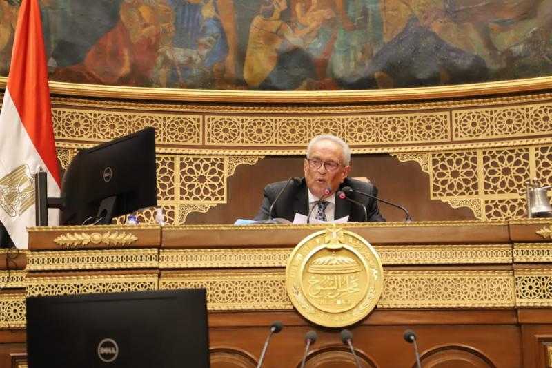 وكيل الشيوخ: مصر تتعامل بشرف في عالم عز فيه الشرف وتحكمه ازدواجية المعايير
