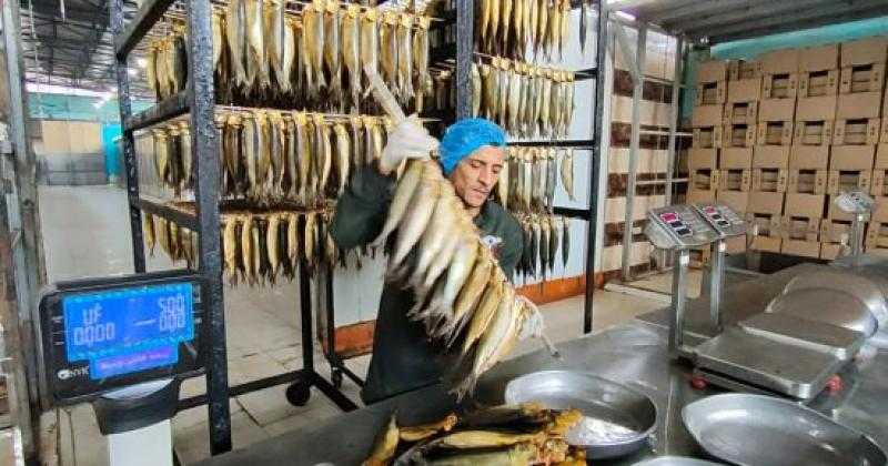”بيطري الغربية”: لدينا 28 مصنعًا للأسماك المملحة تخضع للرقابة الدورية
