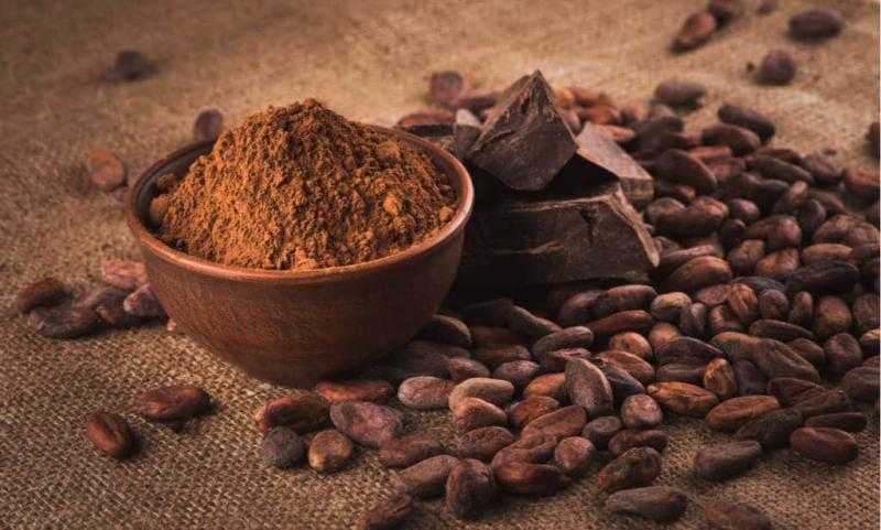 منها إبطاء الشيخوخة وتليف الكبد.. فوائد عديدة للكاكاو