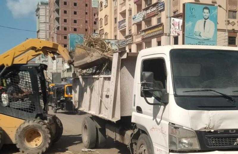 التخلص من 4010 أطنان قمامة في محافظة الغربية