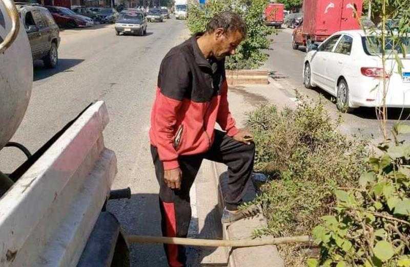 زراعة 80 شجرة مثمرة في حي أول طنطا