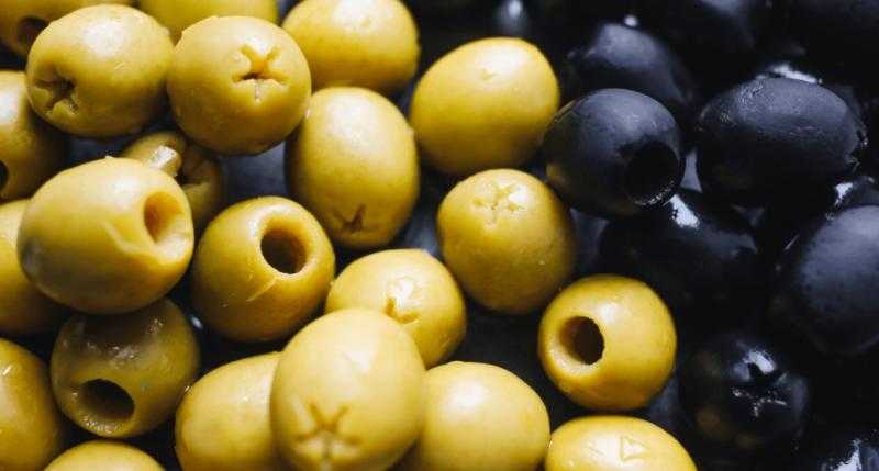 عميد كلية الطب البيطري الأسبق: زراعة الزيتون بالقرب من المزارع تُحقق هذه الفوائد