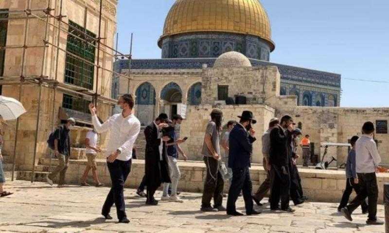 بحماية شرطة الاحتلال.. مستوطنون يقتحمون باحات المسجد الأقصى