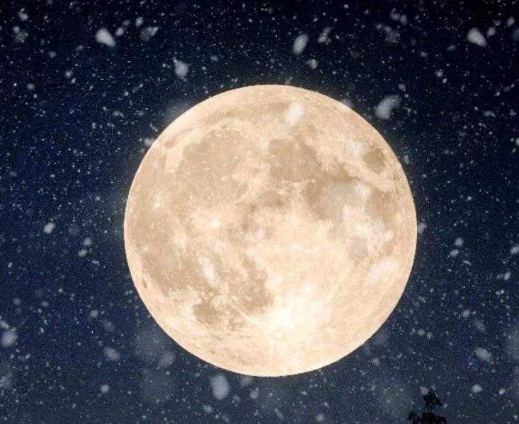 في ثوبه البرتقالي وحجمه الكبير.. بدر رجب يُزين السماء ليلًا