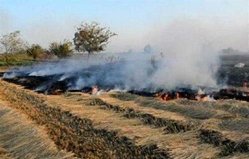 أستاذ دراسات بيئية: لن يكون هناك جودة حياة إلا بالتخلص الآمن من المخلفات بكافة أنواعها